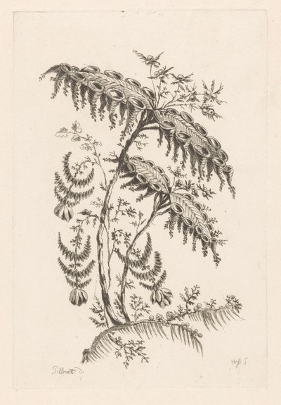 Hojas con forma de cuerno Fleures Baroque (título de la serie) de Johann Heinrich  Hess