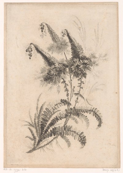 Pistas de juego
Colección de nuevas flores del gusto; para la fábrica de tejidos persa (título de la serie) de Johann Heinrich  Hess