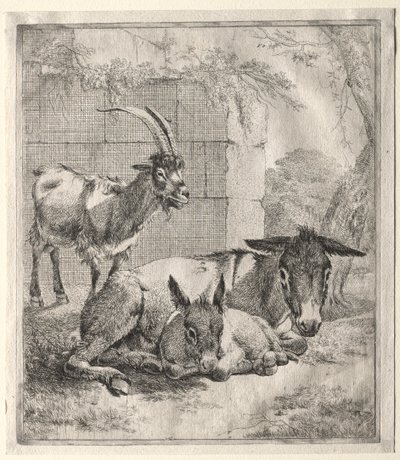 Cabra y burros de Johann Heinrich Roos