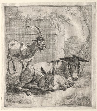 Cabra y burros de Johann Heinrich Roos