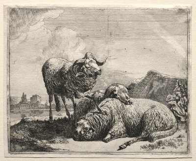 Carnero y dos ovejas de Johann Heinrich Roos