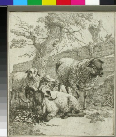 Ohne Titel de Johann Heinrich Roos