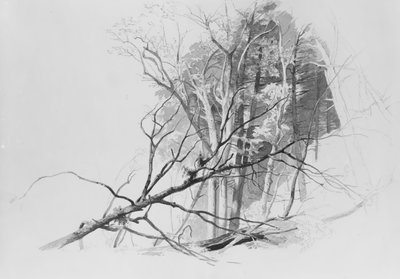 Escena del bosque de Johann Hermann Carmiencke
