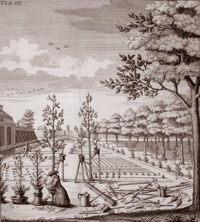 Ilustración de una escena de jardín, 1753 de Johann Hermann Knoop