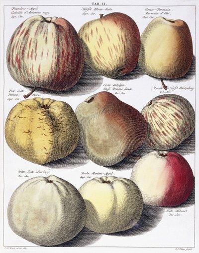 Varias manzanas, 1758 de Johann Hermann Knoop