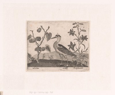 Serie de Estampas con Flores y Animales en un Paisaje Paisaje con garzas y espuelas de caballero Paisajes con animales, plantas y flores (título de serie) de Johann Hogenberg