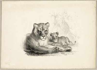 León con cachorros de Johann Höchle