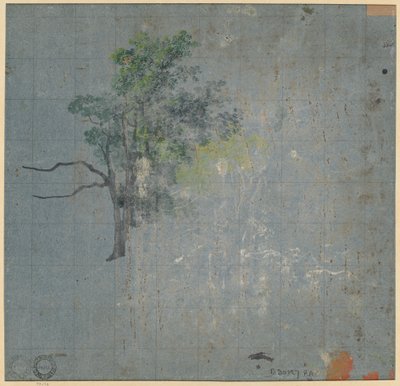 Estudios de árboles, primera mitad del siglo XIX de Johann Jacob Dorner