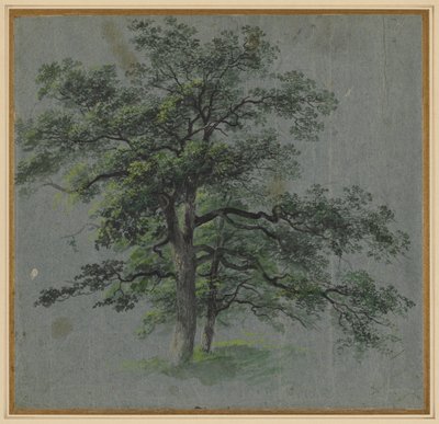 Two Trees (recto) de Johann Jacob Dorner