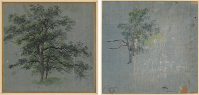 Two Trees (recto) Tree Studies (verso) de Johann Jacob Dorner