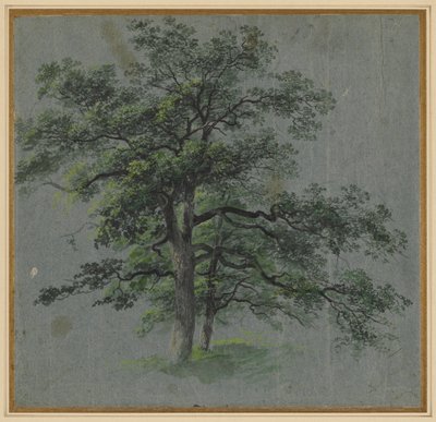 Dos Árboles recto Estudios de Árboles verso, primera mitad de 1800 de Johann Jacob Dorner