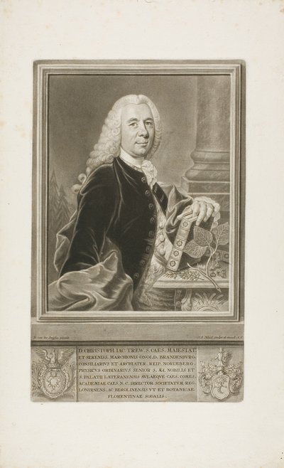 D. Christopher Jacob Trew, de Plantae Selectae de Johann Jacob Haid
