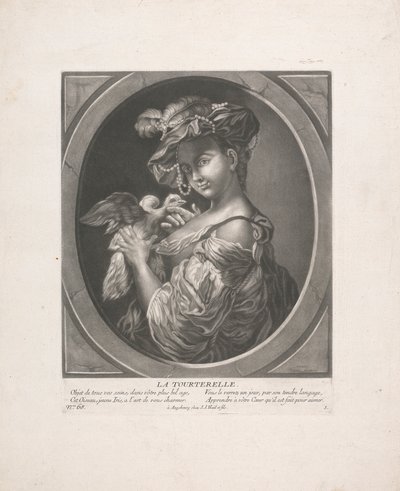 La tórtola de Johann Jacobus Haid