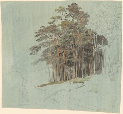 Estudio de pinos de Johann Jakob Dorner the younger