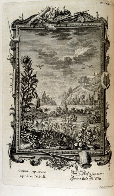 Grabado en cobre de "Physica Sacra" del erudito suizo Johann Jakob Scheuchzer de Johann Jakob Scheuchzer