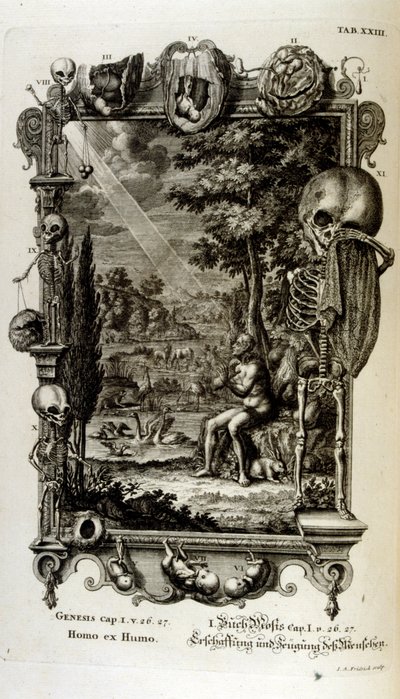 Grabado en cobre de "Physica Sacra" del erudito suizo Johann Jakob Scheuchzer de Johann Jakob Scheuchzer