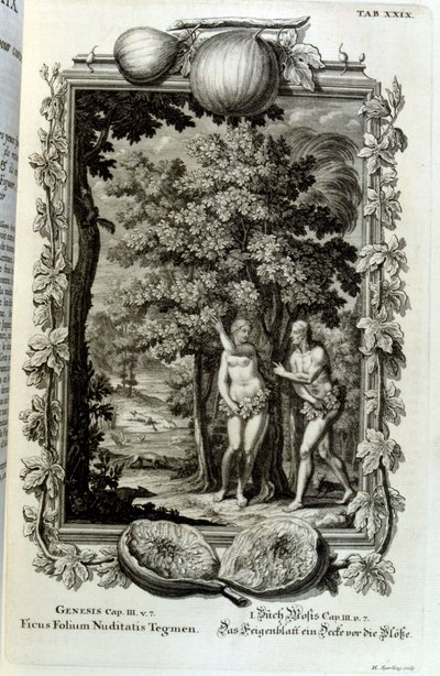 Grabado en cobre de "Physica Sacra" del erudito suizo Johann Jakob Scheuchzer de Johann Jakob Scheuchzer