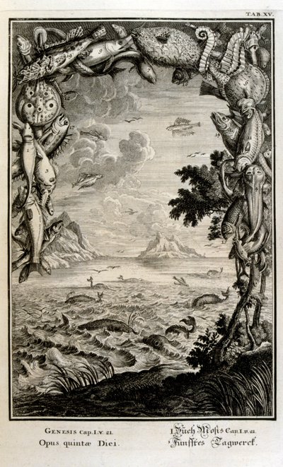 Grabado en cobre de "Physica Sacra" del erudito suizo Johann Jakob Scheuchzer de Johann Jakob Scheuchzer