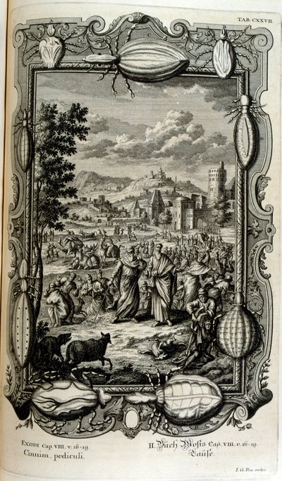 Plaga de piojos y mosquitos de Johann Jakob Scheuchzer