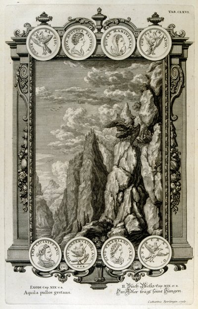 Zeus simbolizado como un águila de Johann Jakob Scheuchzer