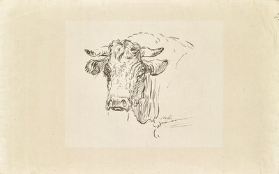 cabeza de toro de Johann Josef Schindler