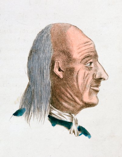 Las características faciales de una persona jovial y amable, 1808 de Johann Kaspar Lavater