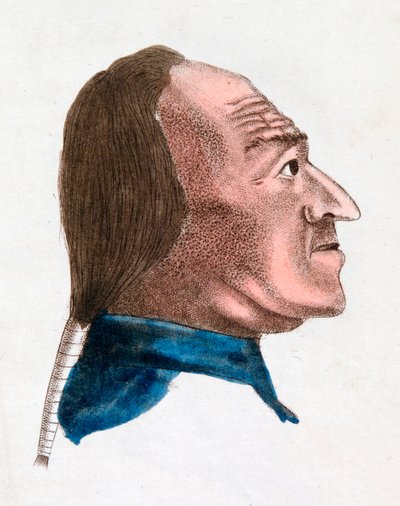 Las características faciales de una persona de temperamento rápido, 1808 de Johann Kaspar Lavater