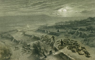 El Valle de los Pastores en Belén. Grabado por Bernatz et alii - Steinkopk J.F. Editore de Johann Martin Bernatz