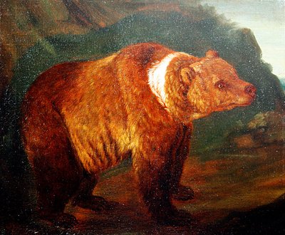 Oso pardo en un paisaje, c.1719 de Johann Melchior Roos