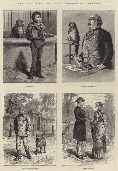 Bocetos Extraños en el Zoológico de Johann Nepomuk Schonberg