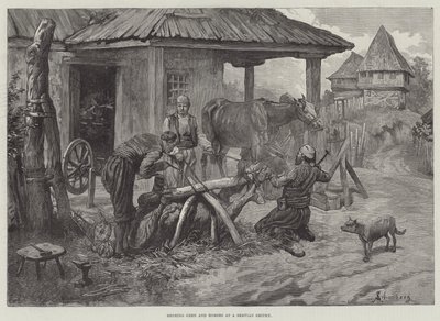 Herrando bueyes y caballos en una herrería servia de Johann Nepomuk Schonberg