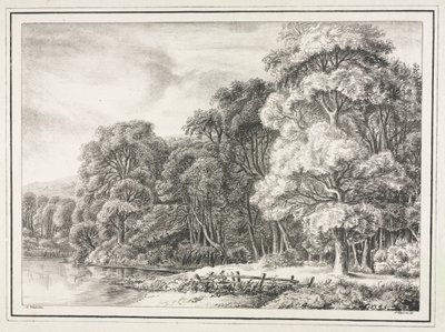Woodland Scenery with Lake de Johann Nepomuk Strixner