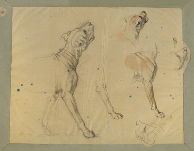 Estudio de perros para el "Regreso a casa del Landwehr Man" (1820) de Johann Peter Krafft