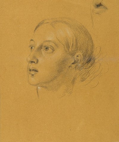 Estudio de cabecera para "Arindal y Daura" de Johann Peter Krafft
