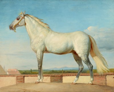 Moho frente a un muro bajo de Johann Peter Krafft