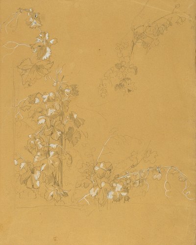 Weinstock, Estudio para "Hermann y Dorothea en el viñedo" de Johann Peter Krafft