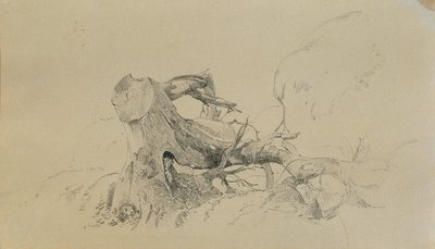 Sistema de raíces, árbol caído de Johann Peter Krafft