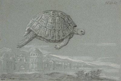 Estudio de una tortuga y vista de una ciudad fortificada junto al mar (Venecia) de Johann Salomon Wahl