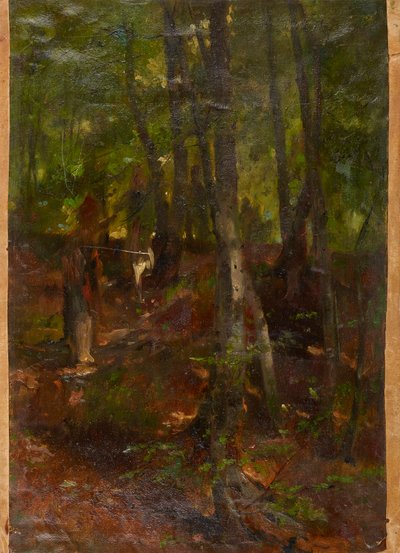 paisaje forestal de Johann  Till der Jüngere