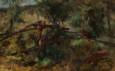 Camino forestal con valla de Johann  Till der Jüngere