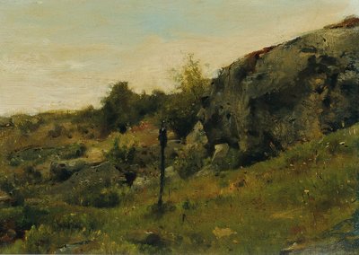 Paisaje de pradera con rocas de Johann  Till der Jüngere