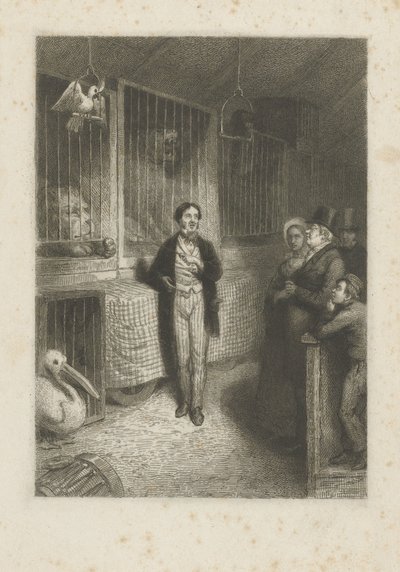 Observar a los animales de Johann Wilhelm Kaiser (I)