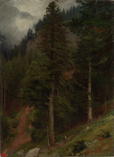 Pendiente en el bosque de abetos de Johann Wilhelm Schirmer