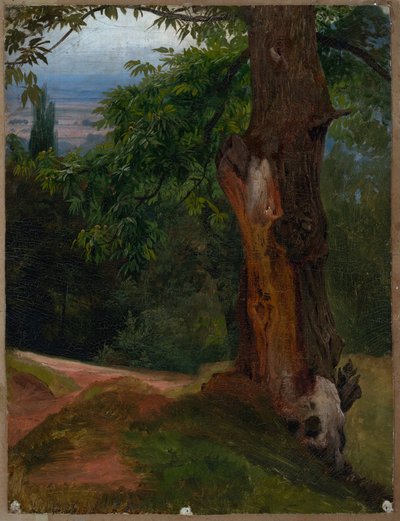 Estudio de árbol con vista al valle de Johann Wilhelm Schirmer