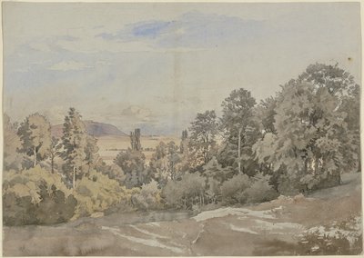 Bosque con vista lejana de Johann Wilhelm Schirmer