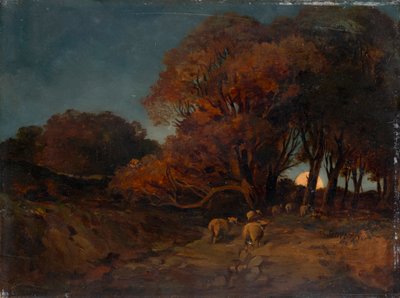 Bosque de otoño a la luz de la luna de Johann Wilhelm Schirmer