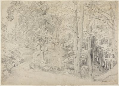 En el hayedo de Johann Wilhelm Schirmer