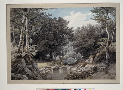Interior de bosque con ciervos junto al agua de Johann Wilhelm Schirmer