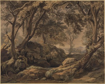Paisaje boscoso con vista de Olevano y el Monte Cavo de Johann Wilhelm Schirmer
