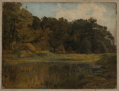 Estanque en el bosque de Johann Wilhelm Schirmer